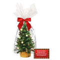 Mini Tree Decorating Kits